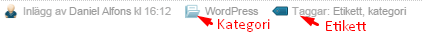 Publiceringsinformation i WordPress